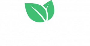 Dadashi