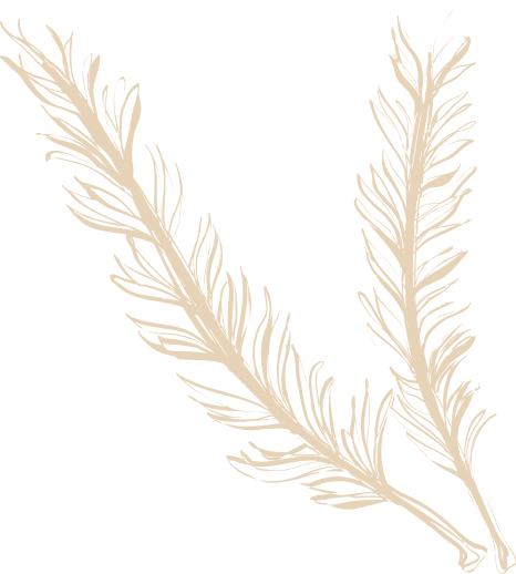 IndiSpice