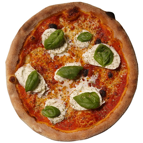 Monti