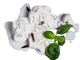 Mozzamo