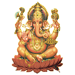 Rajpoute