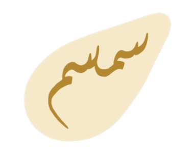 Simsim