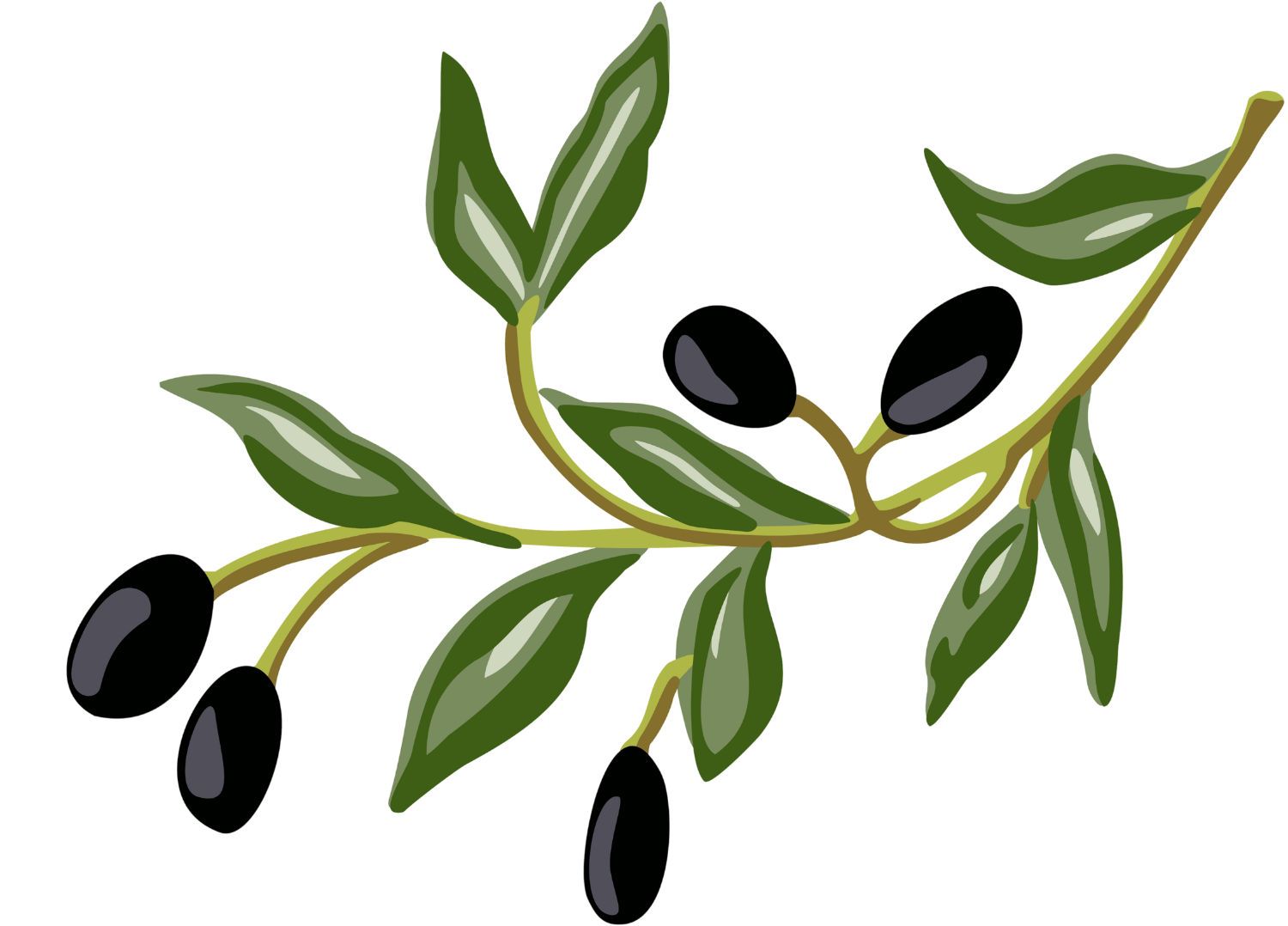 Azeitona