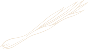 Bharat Flame