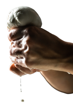 Mozzamo