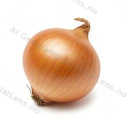 Onion