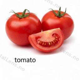 Tomato