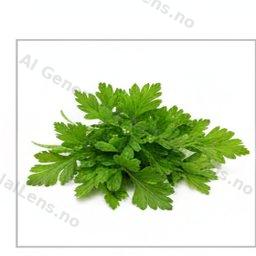 Parsley