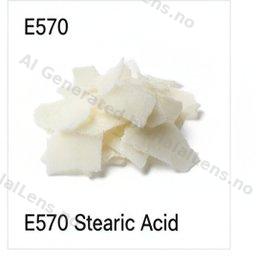 E570