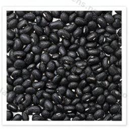 Bean negru