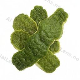 kaffir lime peel