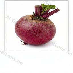 barbabietola