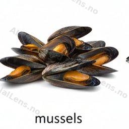 małże