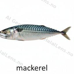 makro