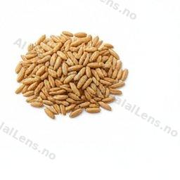 fructe de padure