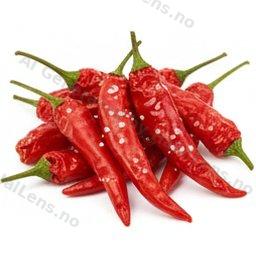 ardei iute de chili