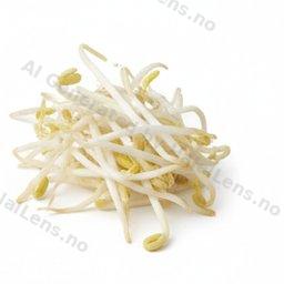 Egg