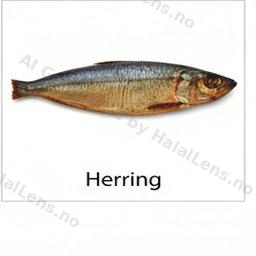 herring