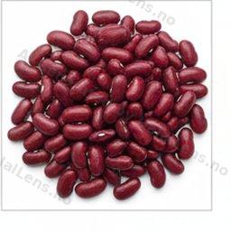 kacang merah