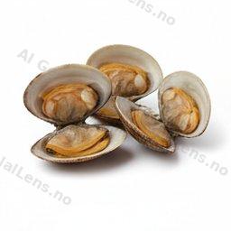 clams ya bahari