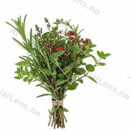 Bilje
