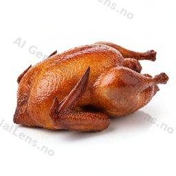 canard