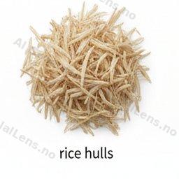 Rizo