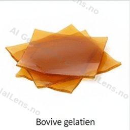 bovint gelatine