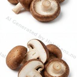 huba