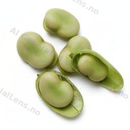 fava