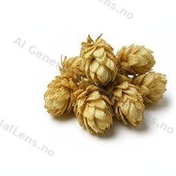 ориз