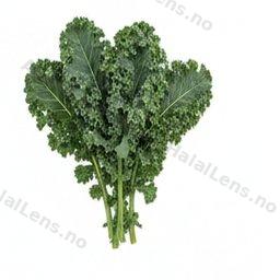 Brassica OleRacea Acphala