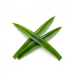 pandan-leaves