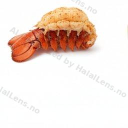 หางกุ้งก้ามกราม