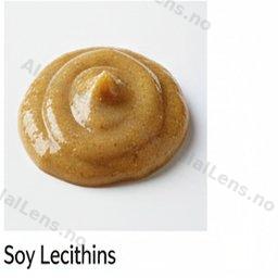 sojos lecitinai