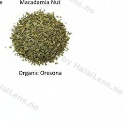 organic oregano
