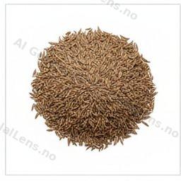 organic cumin